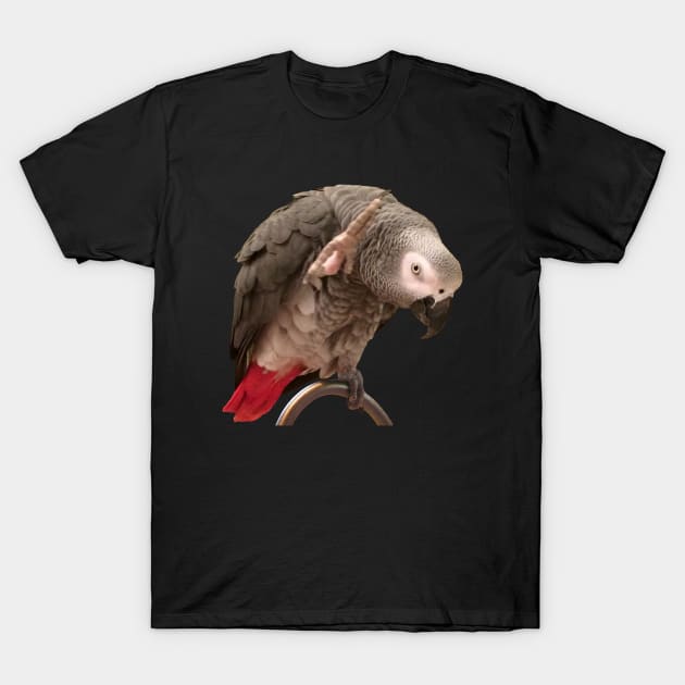 African Grey Parrot Funny Wave T-Shirt by Einstein Parrot